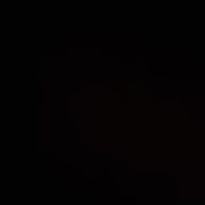 Meet your Posher, Neek